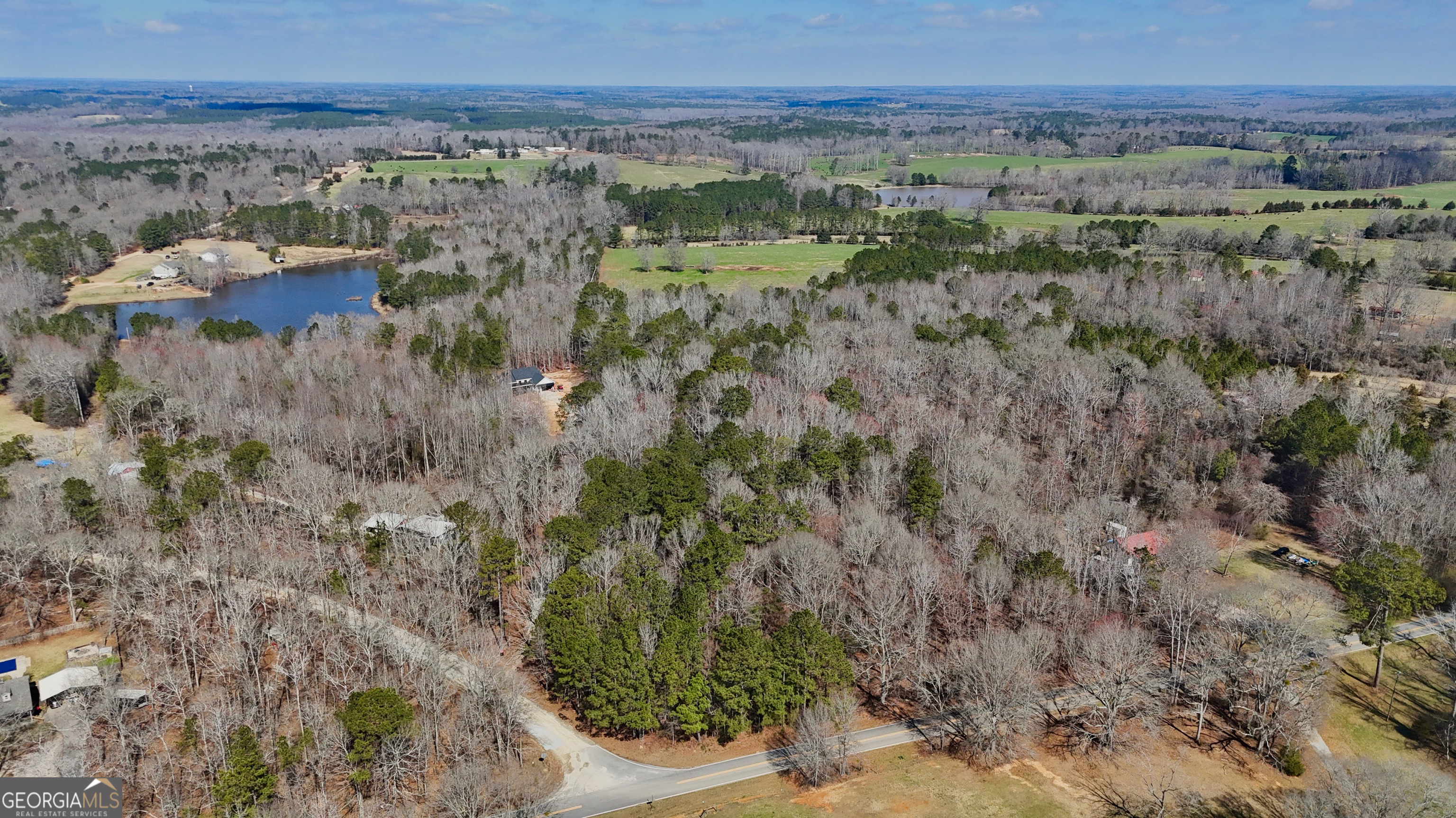 0 Old Lifsey Springs Road Molena, GA 30258 - Photo 6 of 11 a view of lake with mountain