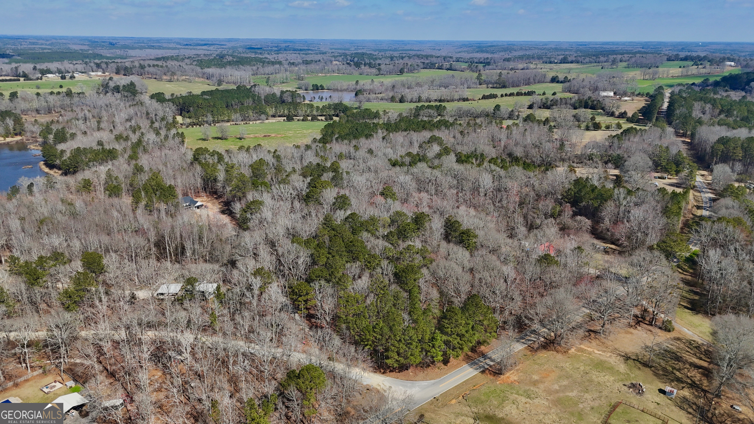 0 Old Lifsey Springs Road Molena, GA 30258 - Photo 7 of 11 a view of a field with a forest