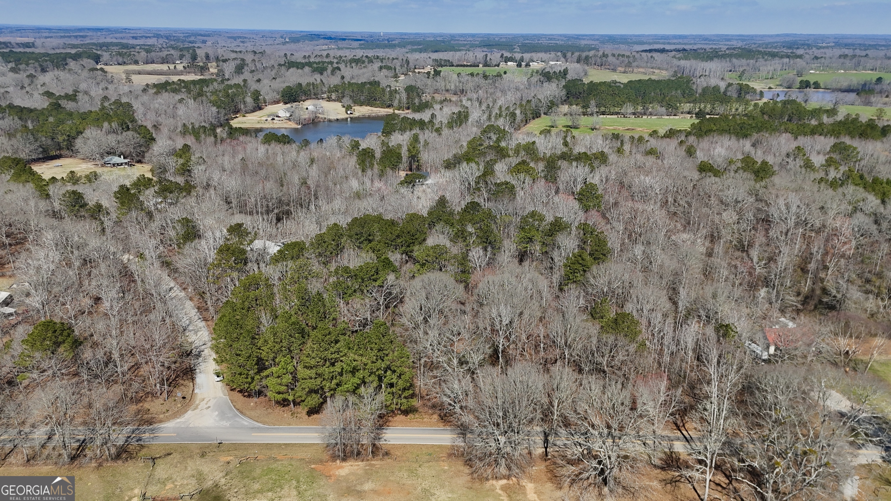 0 Old Lifsey Springs Road Molena, GA 30258 - Photo 8 of 11 a view of outdoor space and mountain view