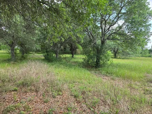 a big yard with lots of green space and deers