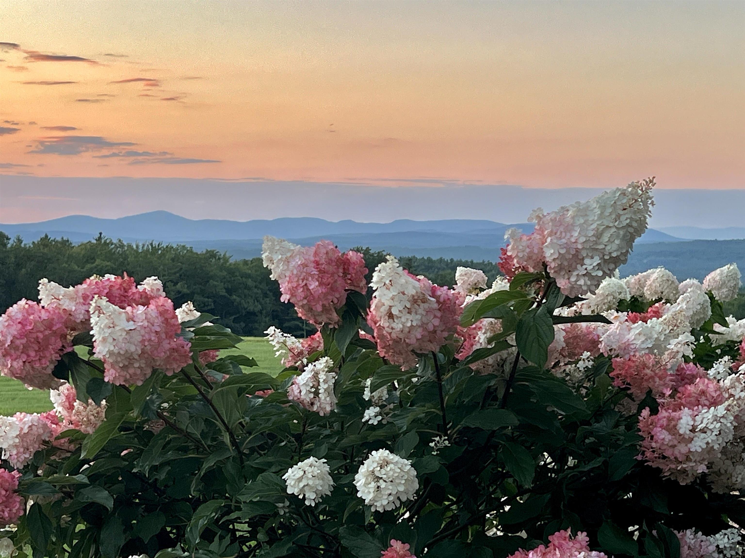 152 Evans Road Barnstead, NH 03218 - Photo 32 of 43