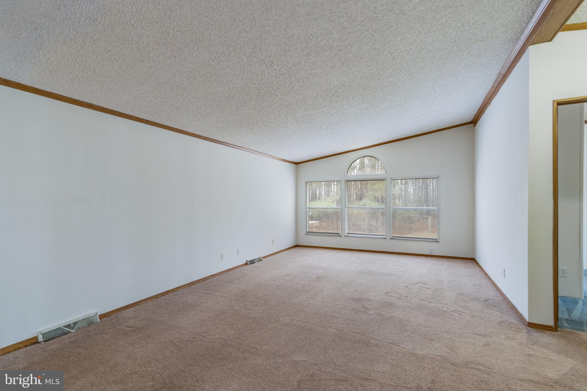 2578 Williamsville Road Houston, DE 19954 - Photo 21 of 52 a view of an empty room with a fireplace