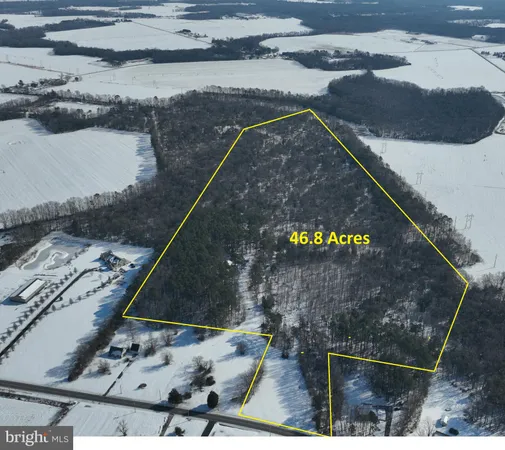 $899,000 | 2578 Williamsville Road, Houston, DE 19954