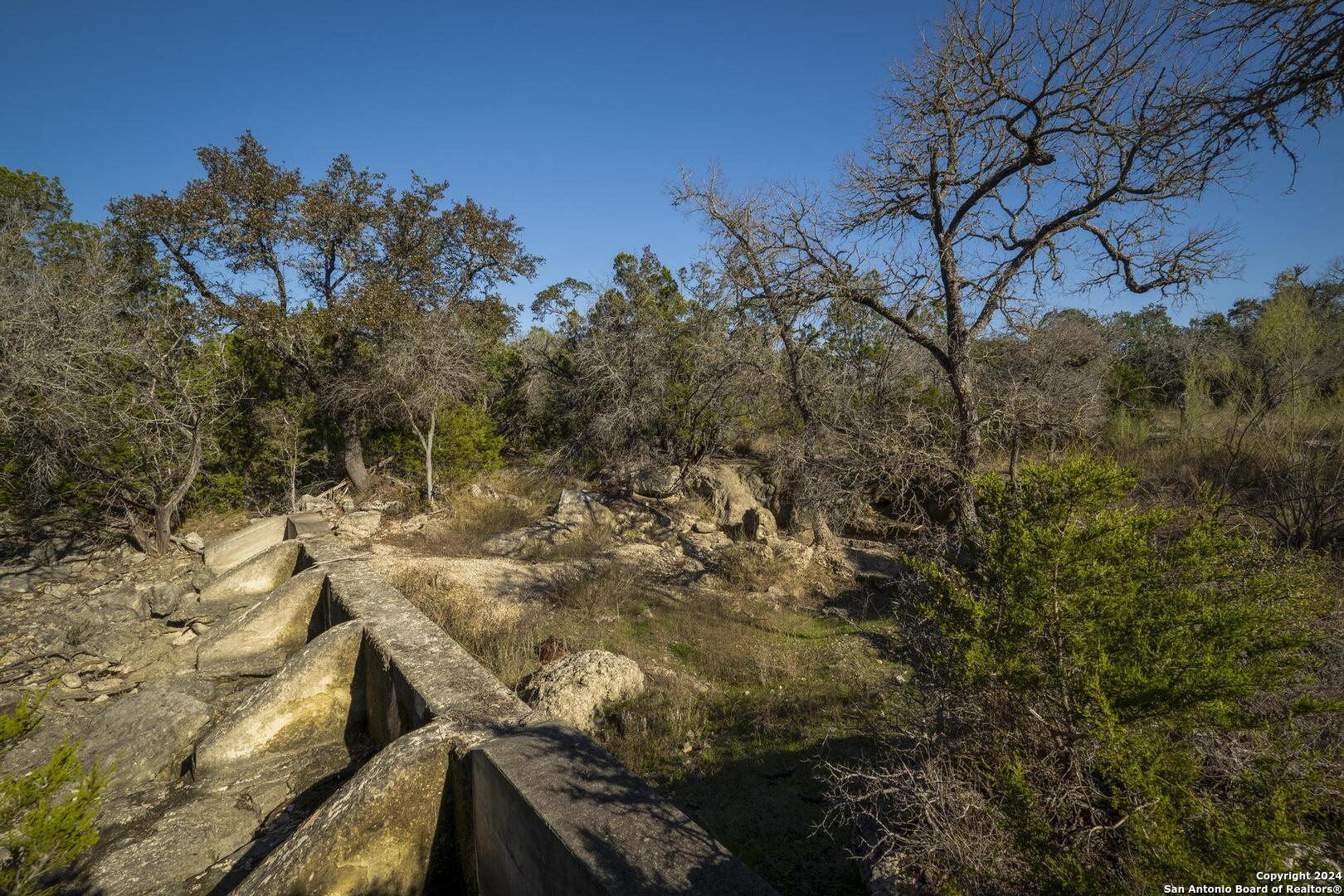 6511 Farm To Market Road 311 Spring Branch, TX 78070 - Photo 11 of 50 a view of a yard