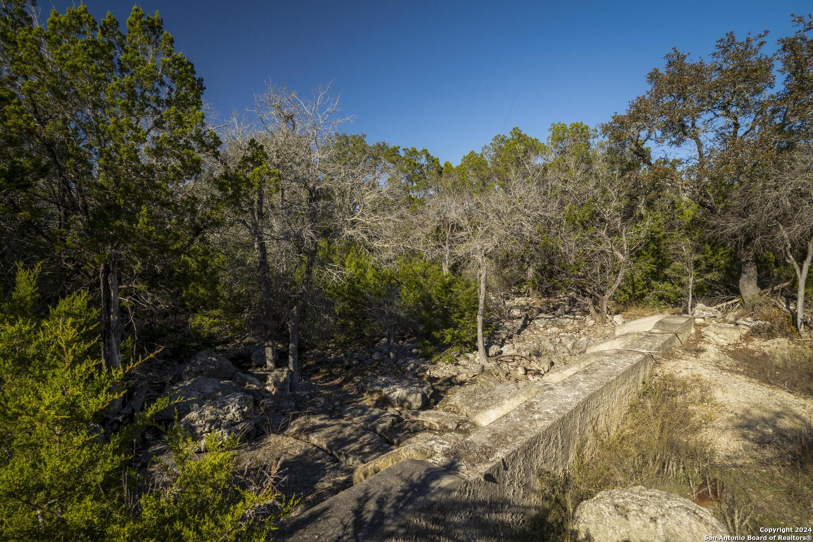 6511 Farm To Market Road 311 Spring Branch, TX 78070 - Photo 12 of 50 a view of a yard with a tree