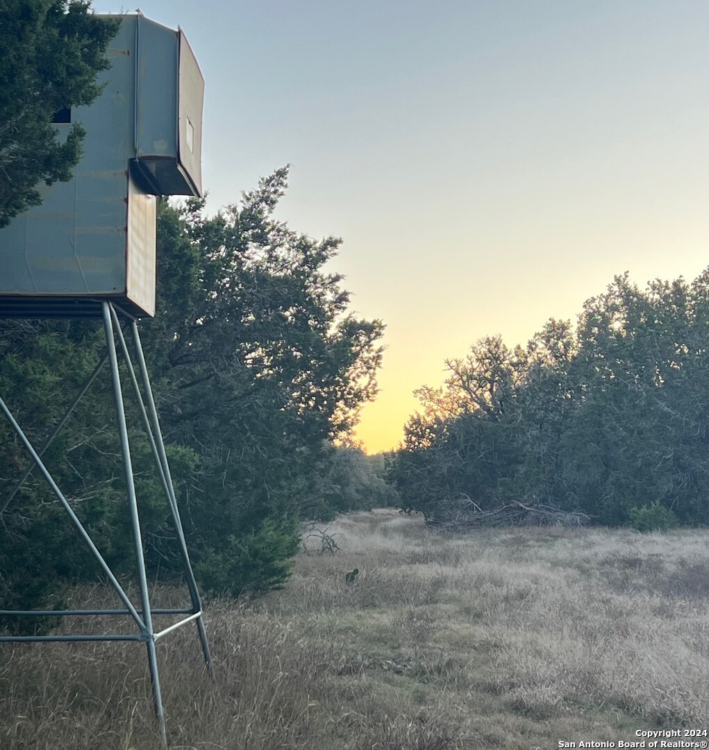 6511 Farm To Market Road 311 Spring Branch, TX 78070 - Photo 26 of 50 a picture of a tree