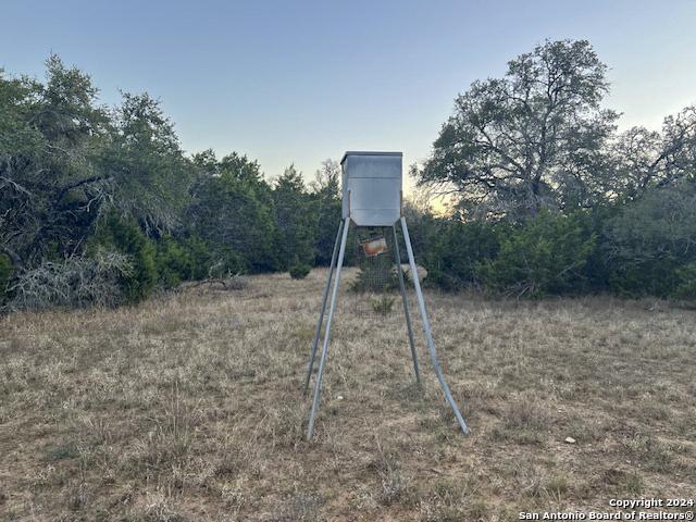 6511 Farm To Market Road 311 Spring Branch, TX 78070 - Photo 27 of 50 a backyard of a house with lots of green space