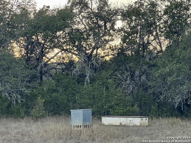 6511 Farm To Market Road 311 Spring Branch, TX 78070 - Photo 28 of 50 a view of a forest