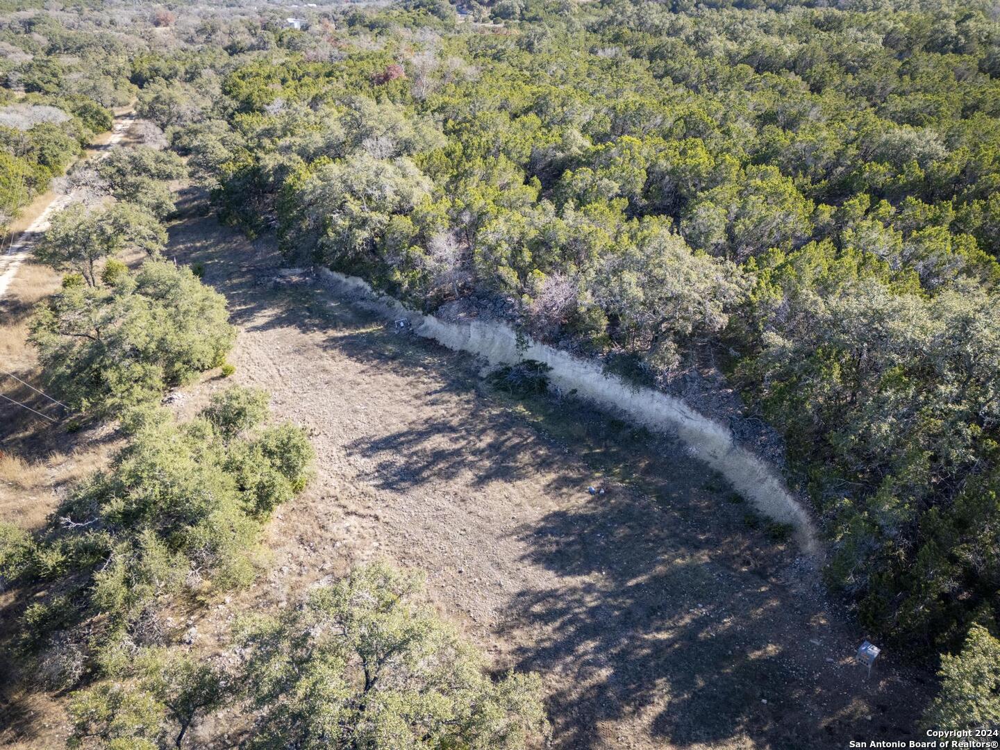 6511 Farm To Market Road 311 Spring Branch, TX 78070 - Photo 29 of 50 a view of a yard with plants and trees