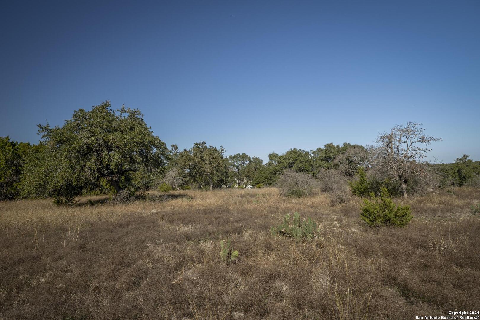 6511 Farm To Market Road 311 Spring Branch, TX 78070 - Photo 35 of 50 a view of a field with trees in background