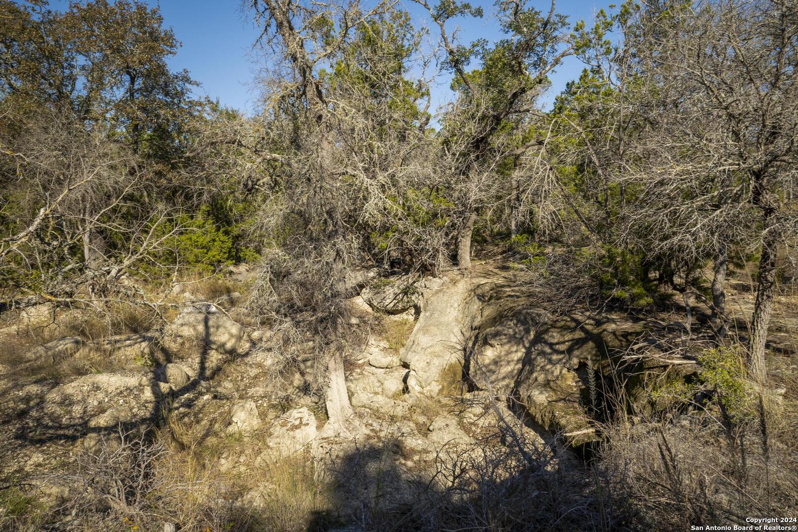 6511 Farm To Market Road 311 Spring Branch, TX 78070 - Photo 40 of 50 a view of a yard