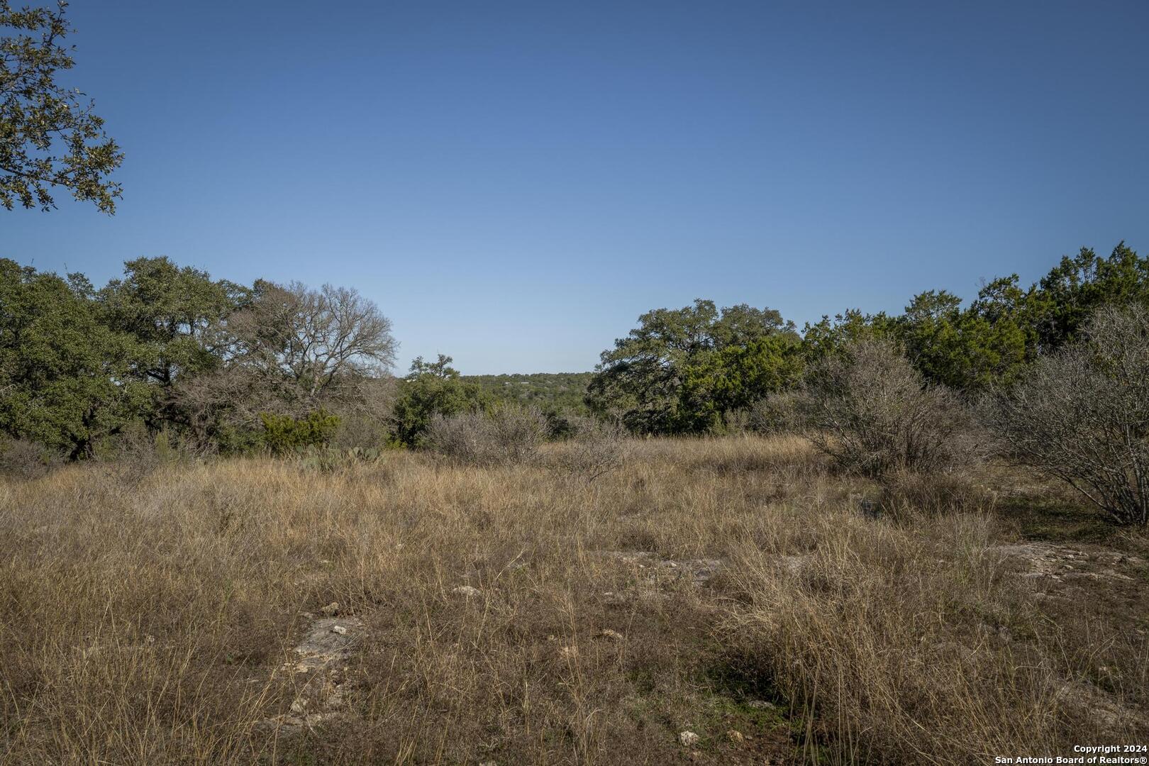 6511 Farm To Market Road 311 Spring Branch, TX 78070 - Photo 41 of 50 a view of a yard