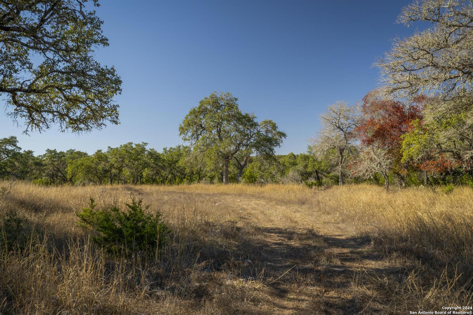 6511 Farm To Market Road 311 Spring Branch, TX 78070 - Photo 42 of 50 a view of lake