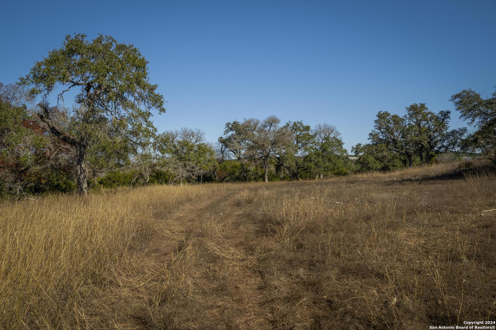 6511 Farm To Market Road 311 Spring Branch, TX 78070 - Photo 43 of 50 a view of mountain with lake view
