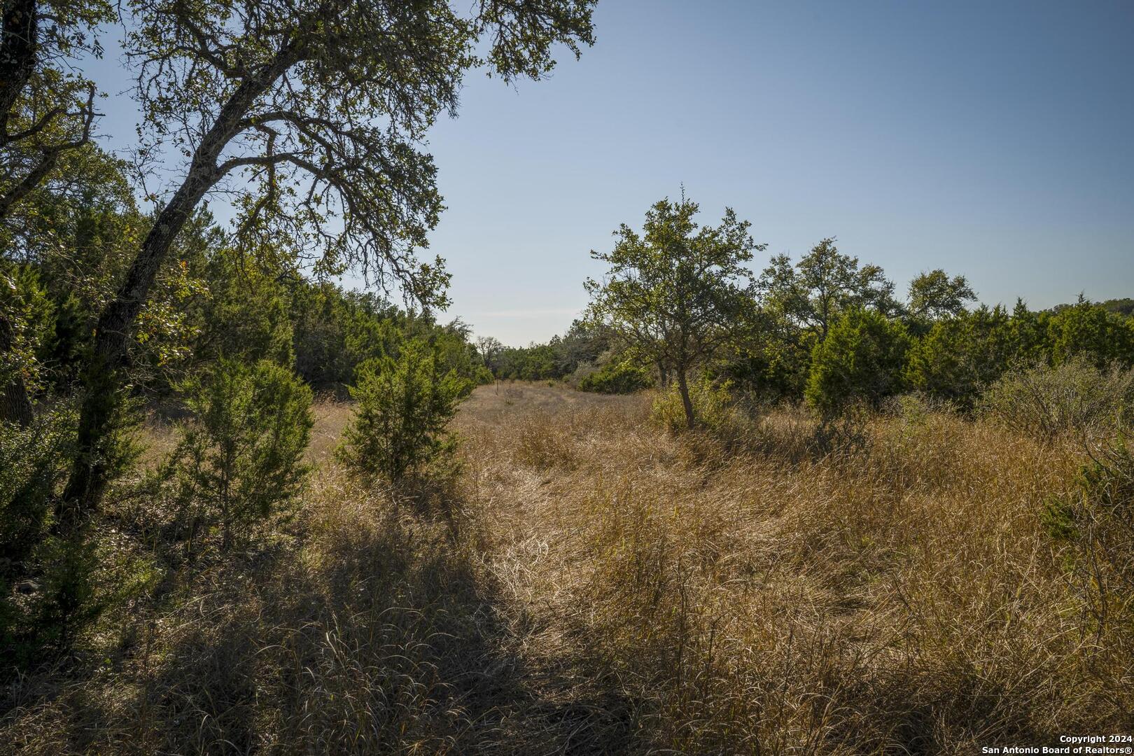 6511 Farm To Market Road 311 Spring Branch, TX 78070 - Photo 44 of 50 a view of a lake with a forest