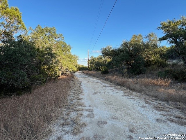 6511 Farm To Market Road 311 Spring Branch, TX 78070 - Photo 10 of 50 a view of a dry yard with trees