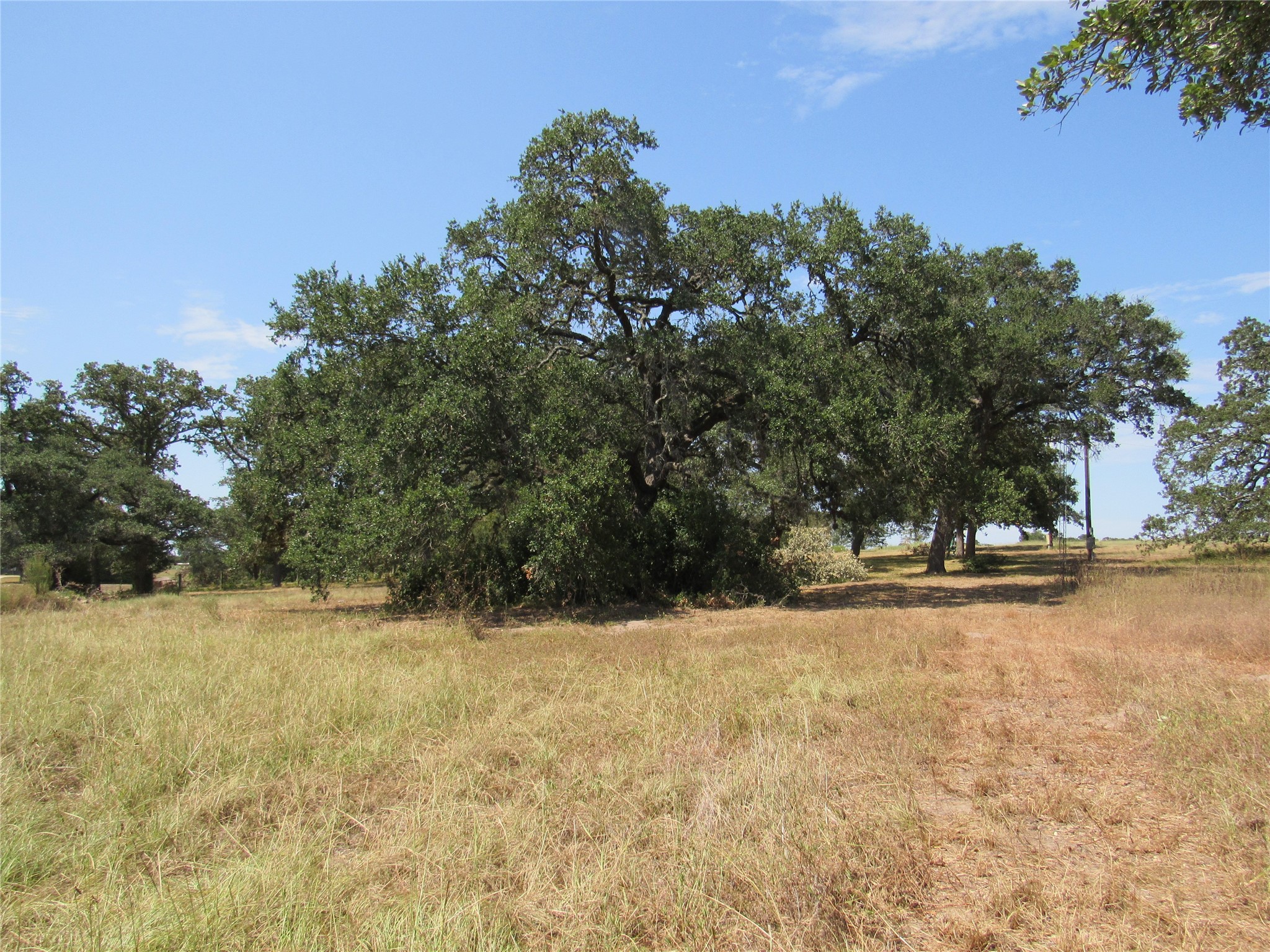 7863 FM 332 Road Brenham, TX 77833 - Photo 12 of 26 Gallery Image 12