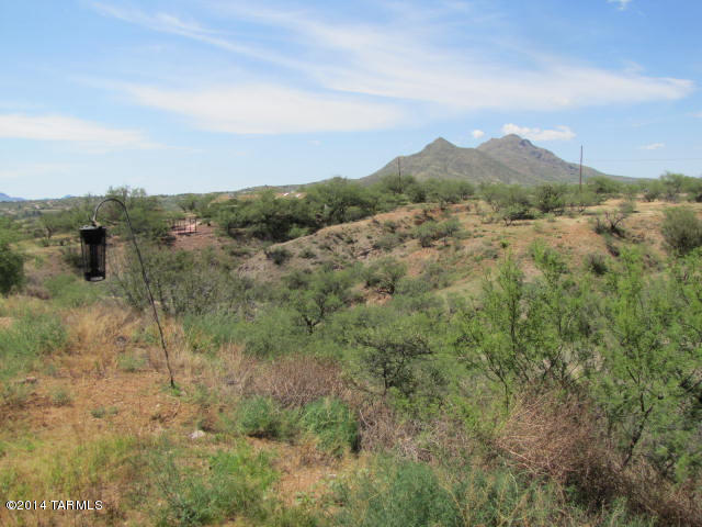 1160 Metate Court Rio Rico, AZ 85648 - Photo 9 of 40