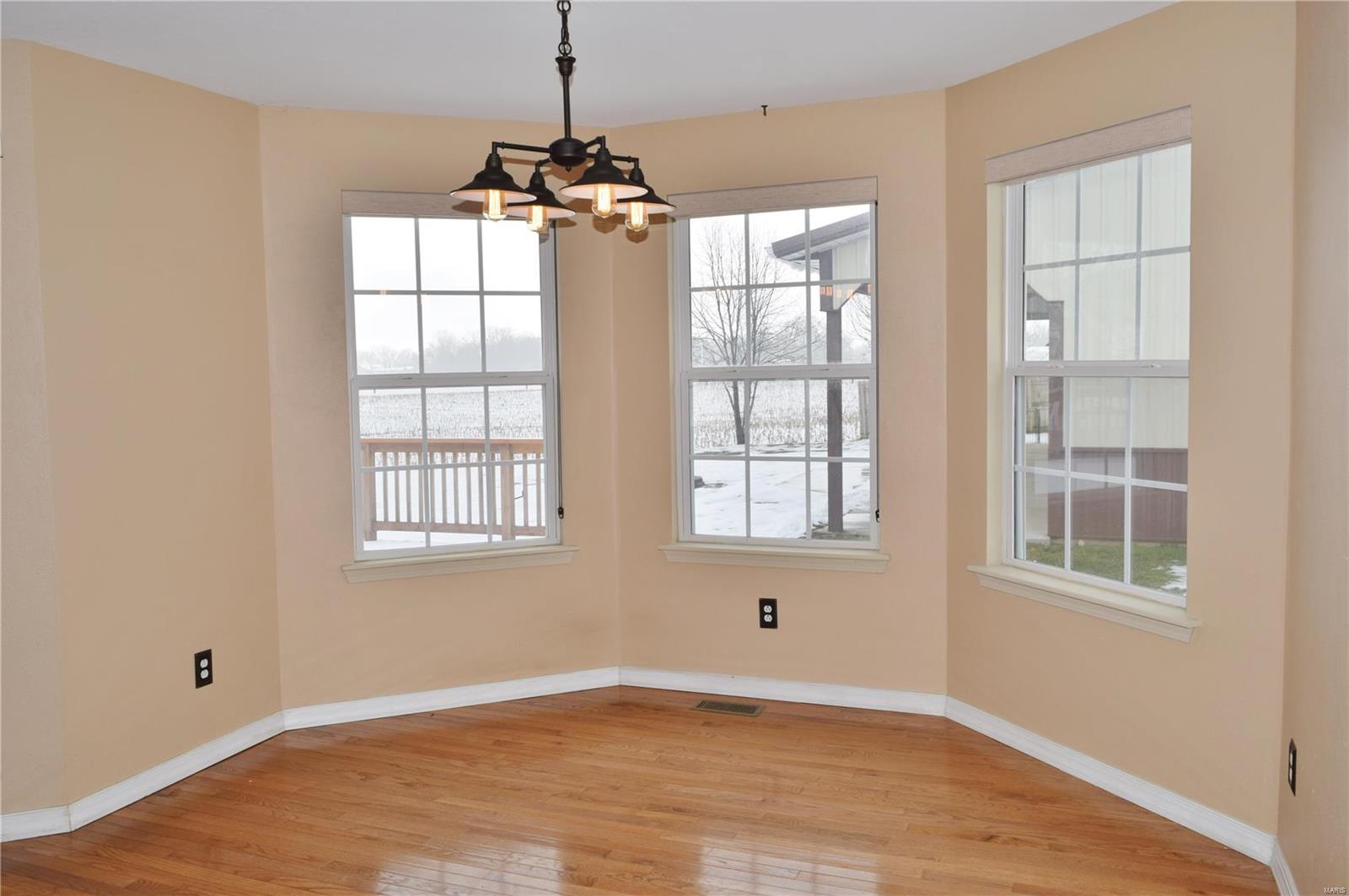 8316 Peabody Road Freeburg, IL 62243 - Photo 17 of 54