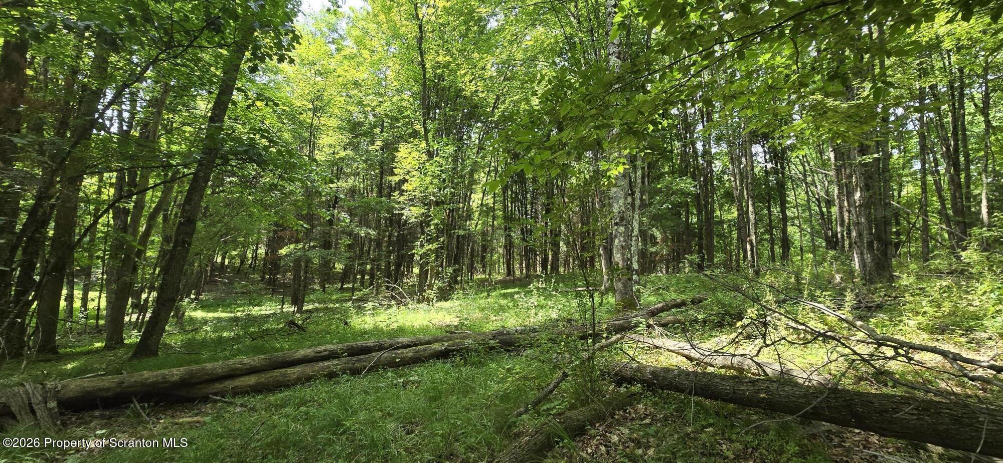 Limoli Road Wyalusing, PA 18853 - Photo 10 of 23 20260630_113051