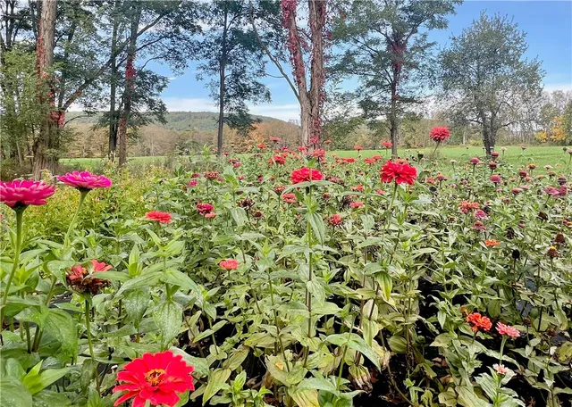 $375,000 | 935 County Highway, Maryland, NY 12116