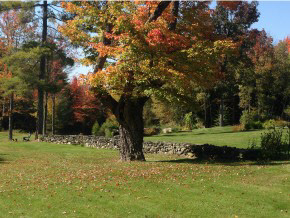 876 Slate Ledge Road Littleton, NH 03561 - Photo 6 of 36 Gallery Image 6