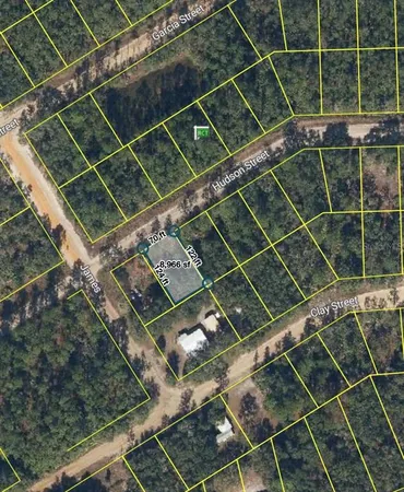 $8,000 | 205 Hudson Street, Interlachen, FL 32148
