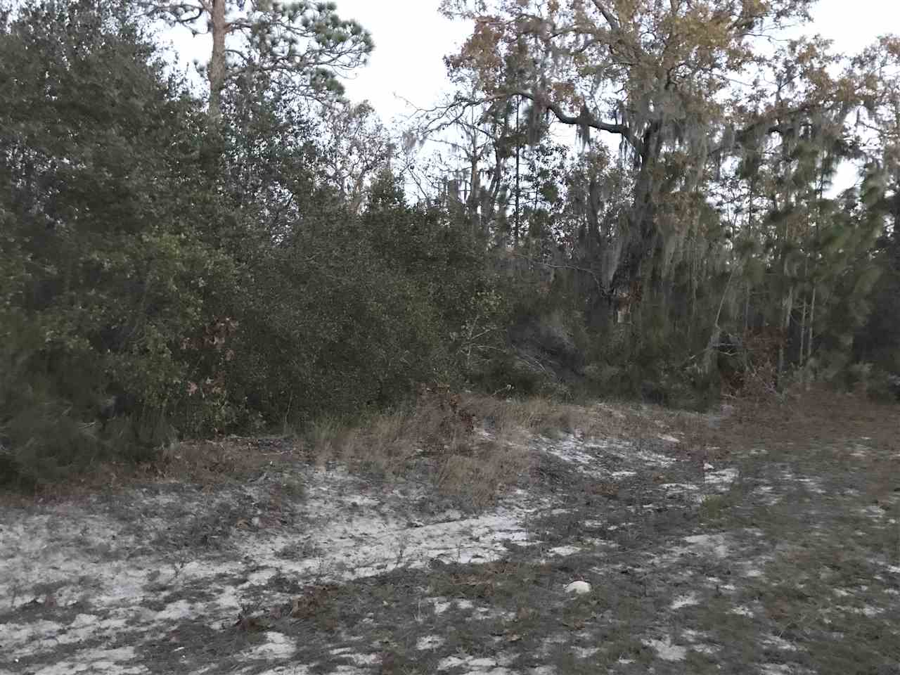 0 Parente Place Perry, FL 32348 - Photo 1 of 6 Gallery Image 1