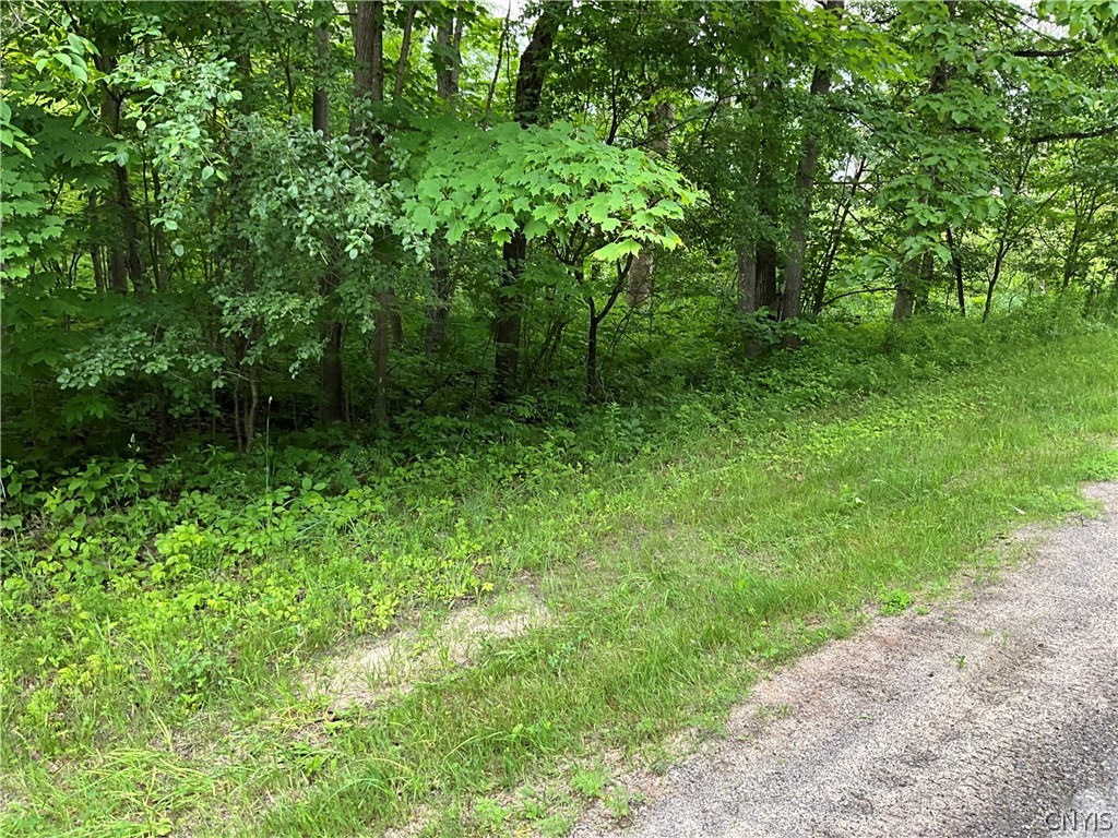 0 County Rte 35 Canton, NY 13617 - Photo 21 of 33