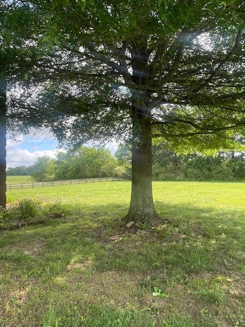 33 Bishop Road Lawrenceburg, TN 38464 - Photo 60 of 87 a view of an outdoor space with a lake view