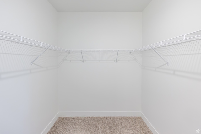 693 West 4500th South, Unit O301 Mapleton, UT 84664 - Photo 8 of 16 Walk in closet with light colored carpet