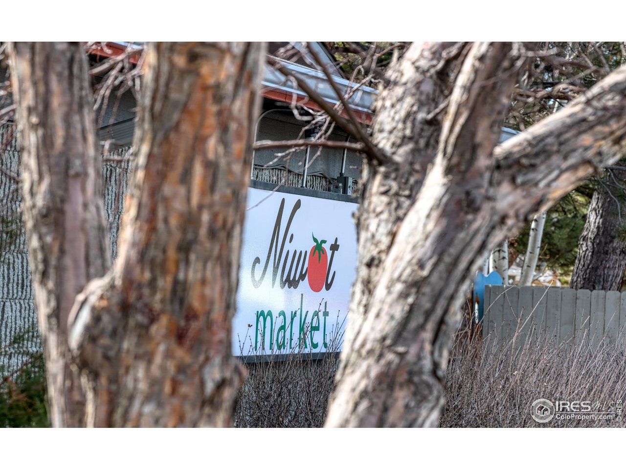 8461 Pawnee Lane Niwot, CO 80503 - Photo 25 of 31 Niwot Market, a locally owned business