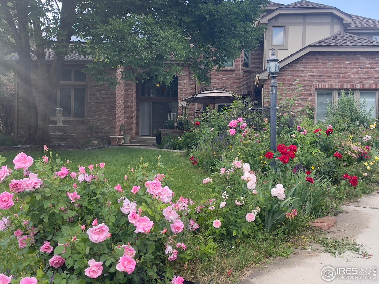 8461 Pawnee Lane Niwot, CO 80503 - Photo 4 of 31 Gorgeous award winning rose gardens