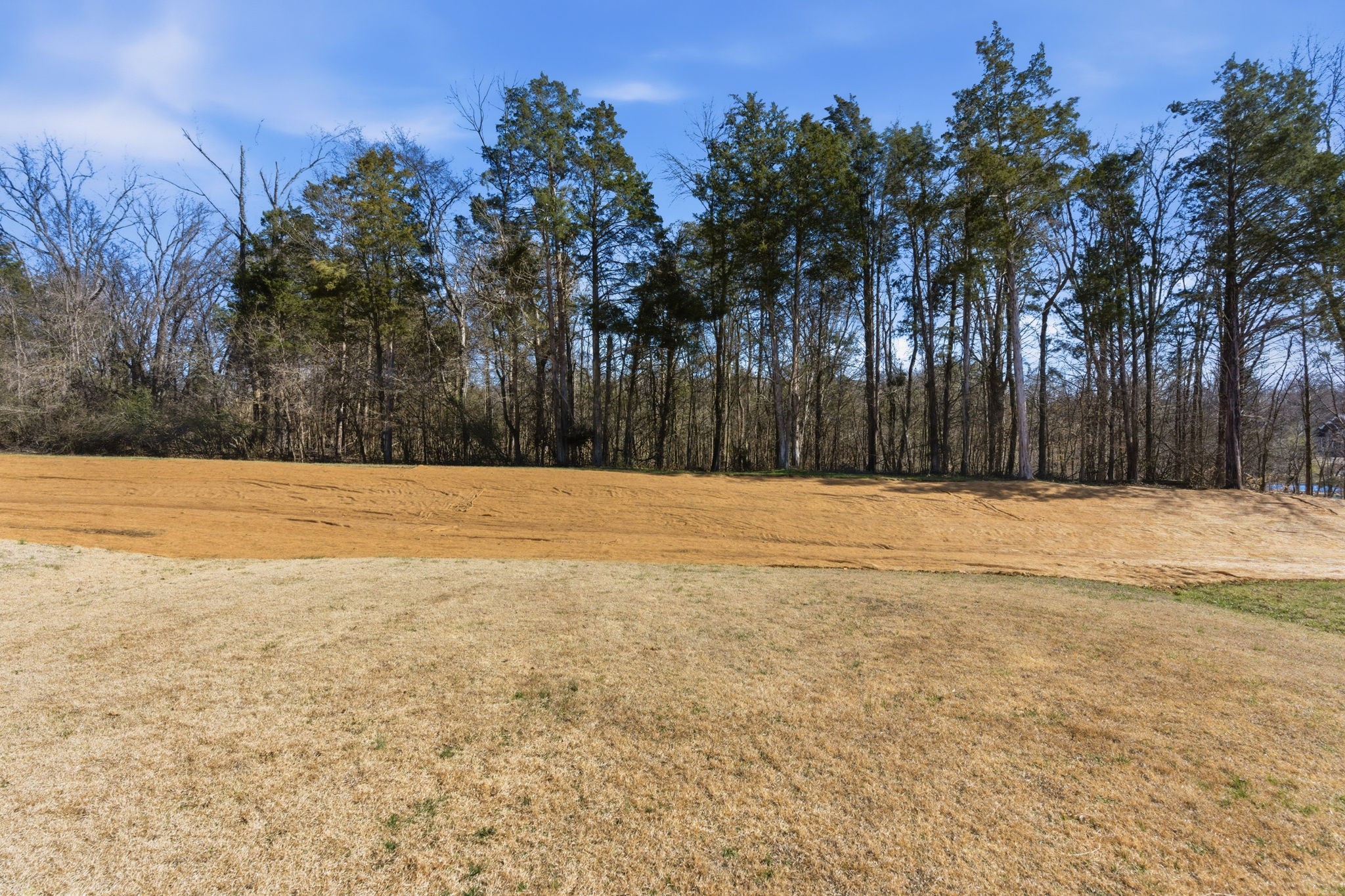 110 Trail Ridge Way Hendersonville, TN 37075 - Photo 45 of 47