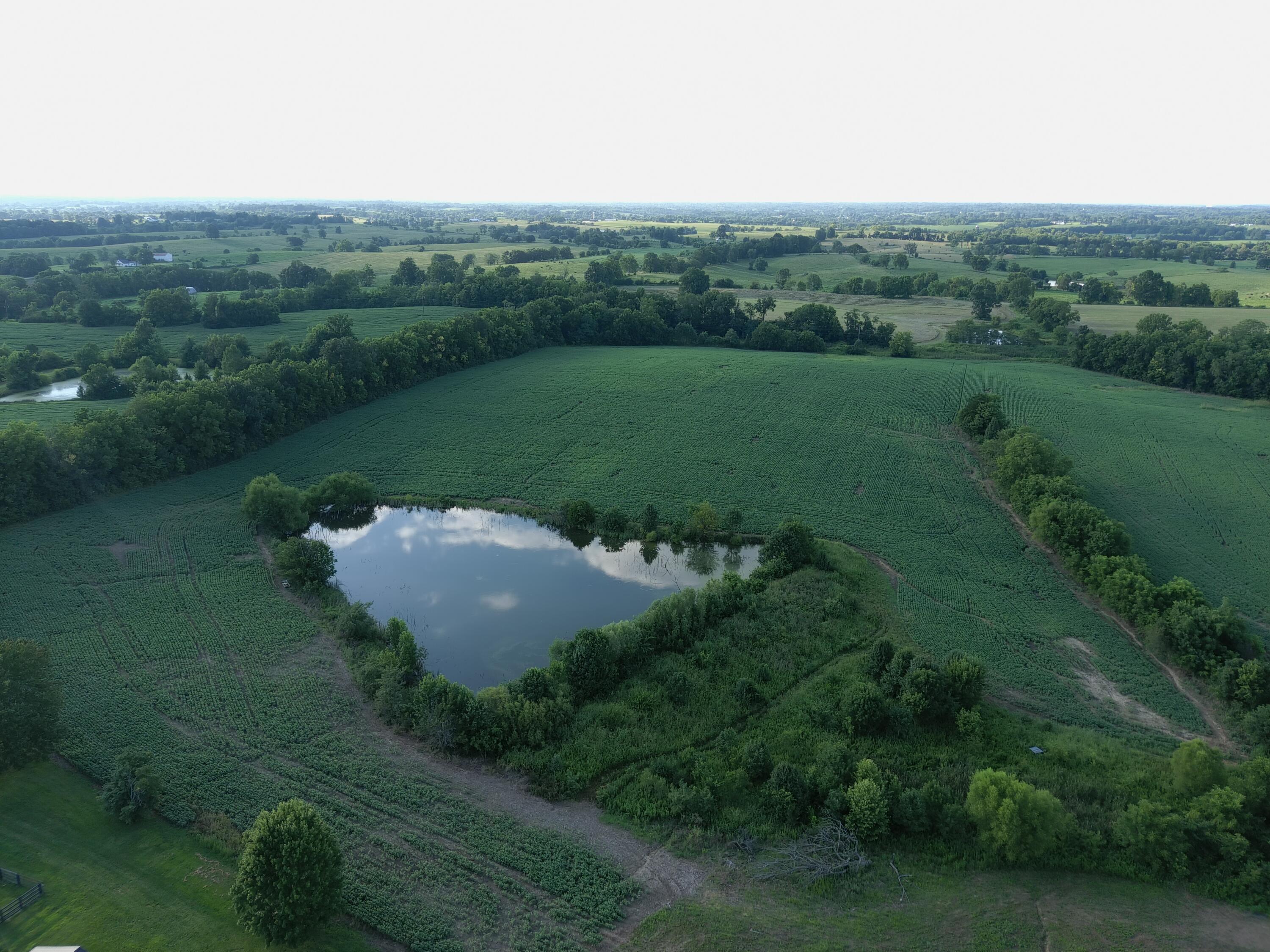 8061 Perryville Road Danville, KY 40422 - Photo 5 of 11 MAX_0010