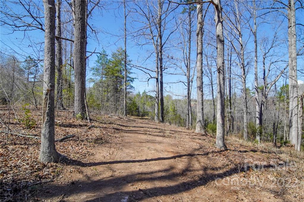 553 Loray Farm Road Dallas, NC 28034 - Photo 8 of 48 a view of a backyard with large trees