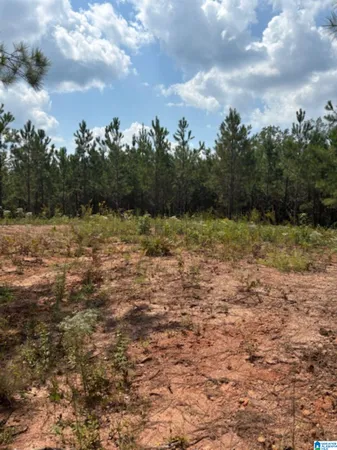 $48,900 | 472 County Road, Unit 1, Clanton, AL 35045