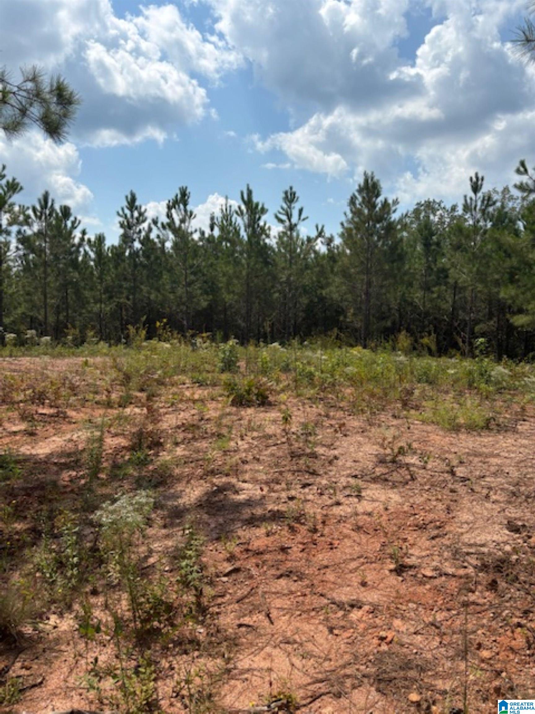 472 County Road, Unit 1 Clanton, AL 35045 - Photo 1 of 6