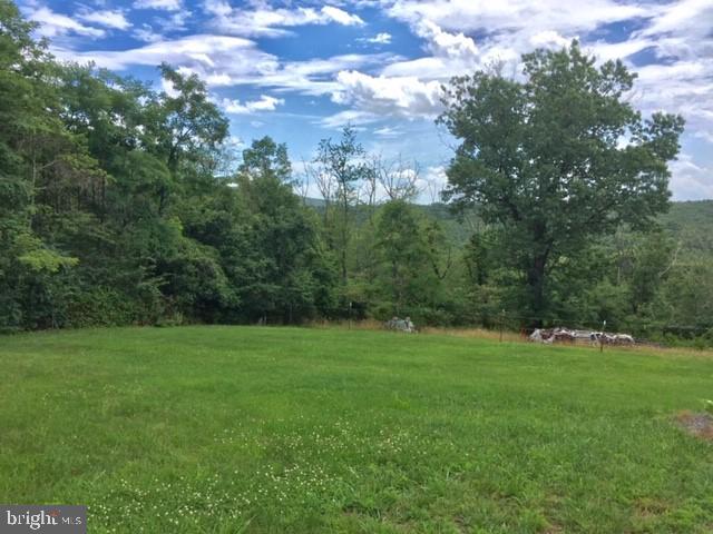 994 Reynolds Road Cross Junction, VA 22625 - Photo 3 of 30