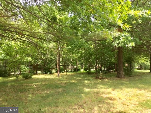 994 Reynolds Road Cross Junction, VA 22625 - Photo 4 of 30