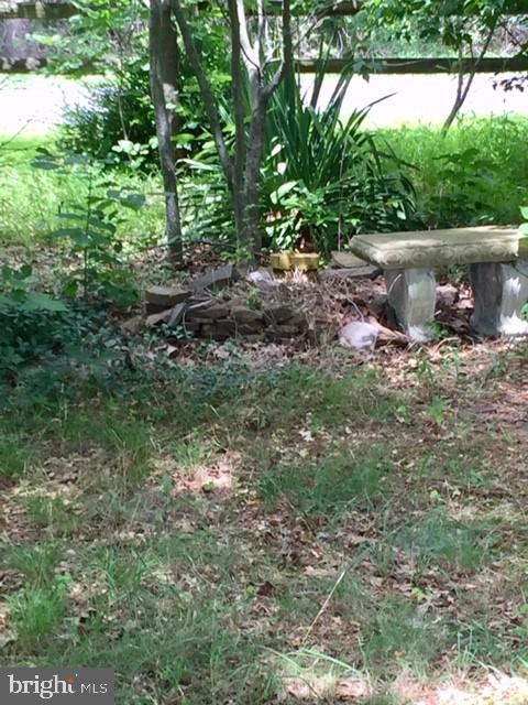994 Reynolds Road Cross Junction, VA 22625 - Photo 10 of 30