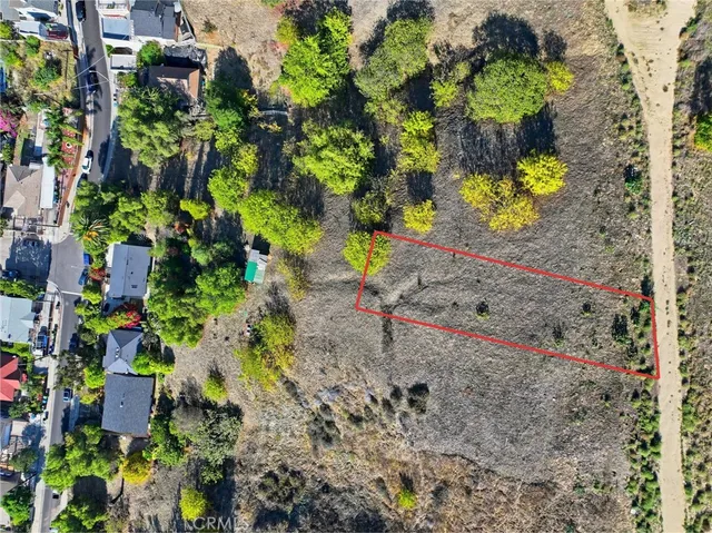 a view of a yard with flowers