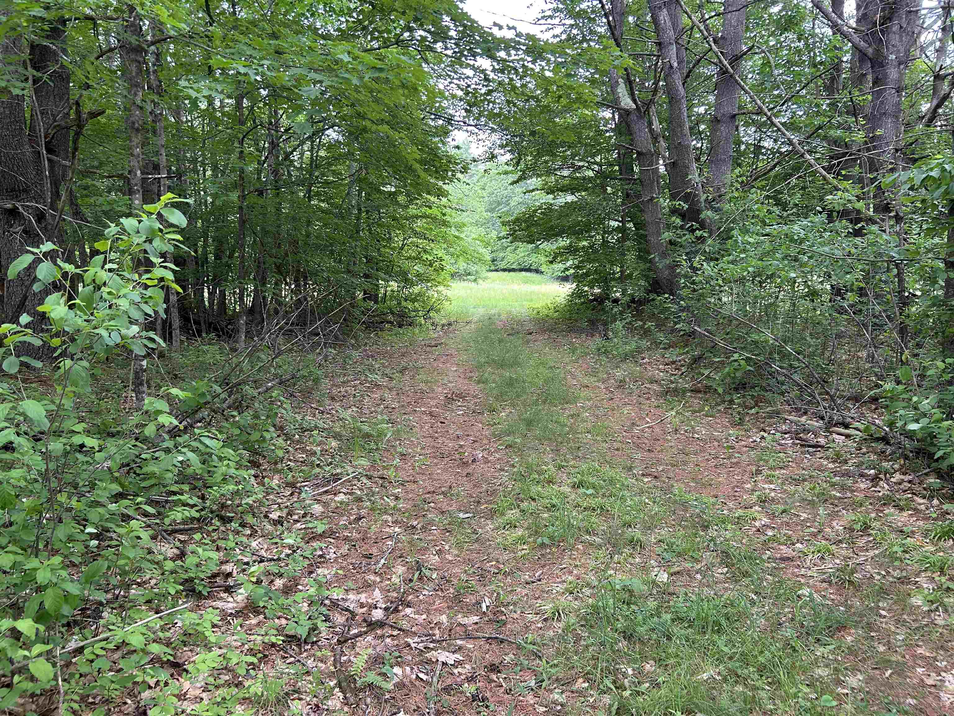4 Cutler Road Plainfield, NH 03781 - Photo 25 of 28
