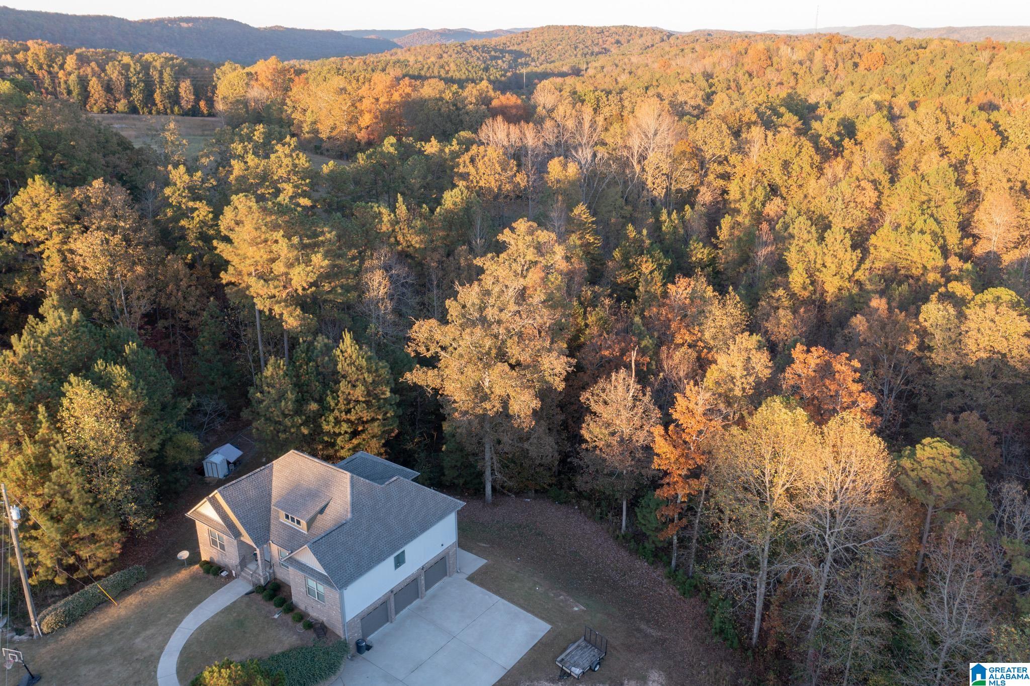 247 Kingbird Lane Remlap, AL 35133 - Photo 36 of 36