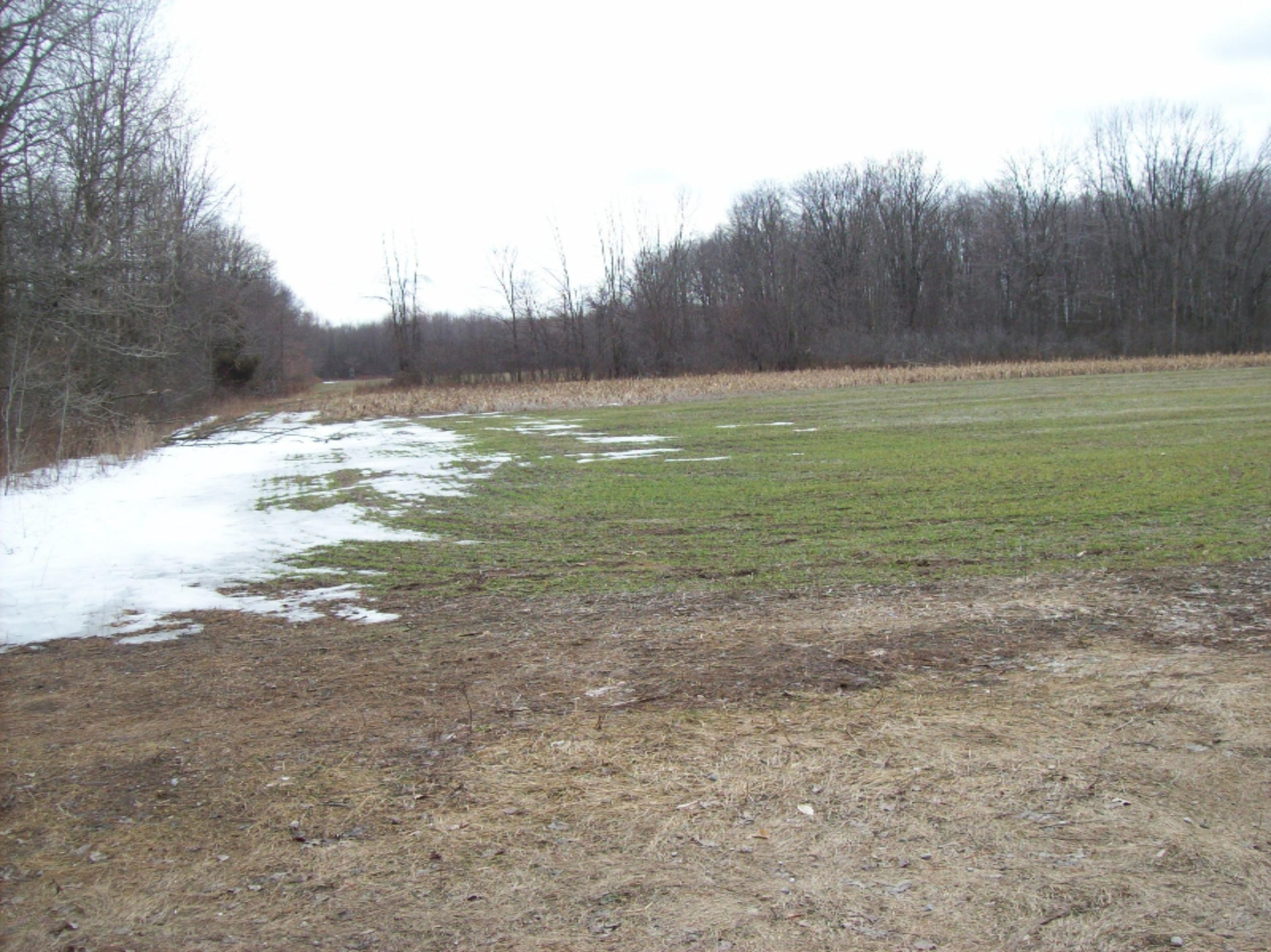 799 North Lumberjack Road Sumner, MI 48889 - Photo 6 of 8 100_3153