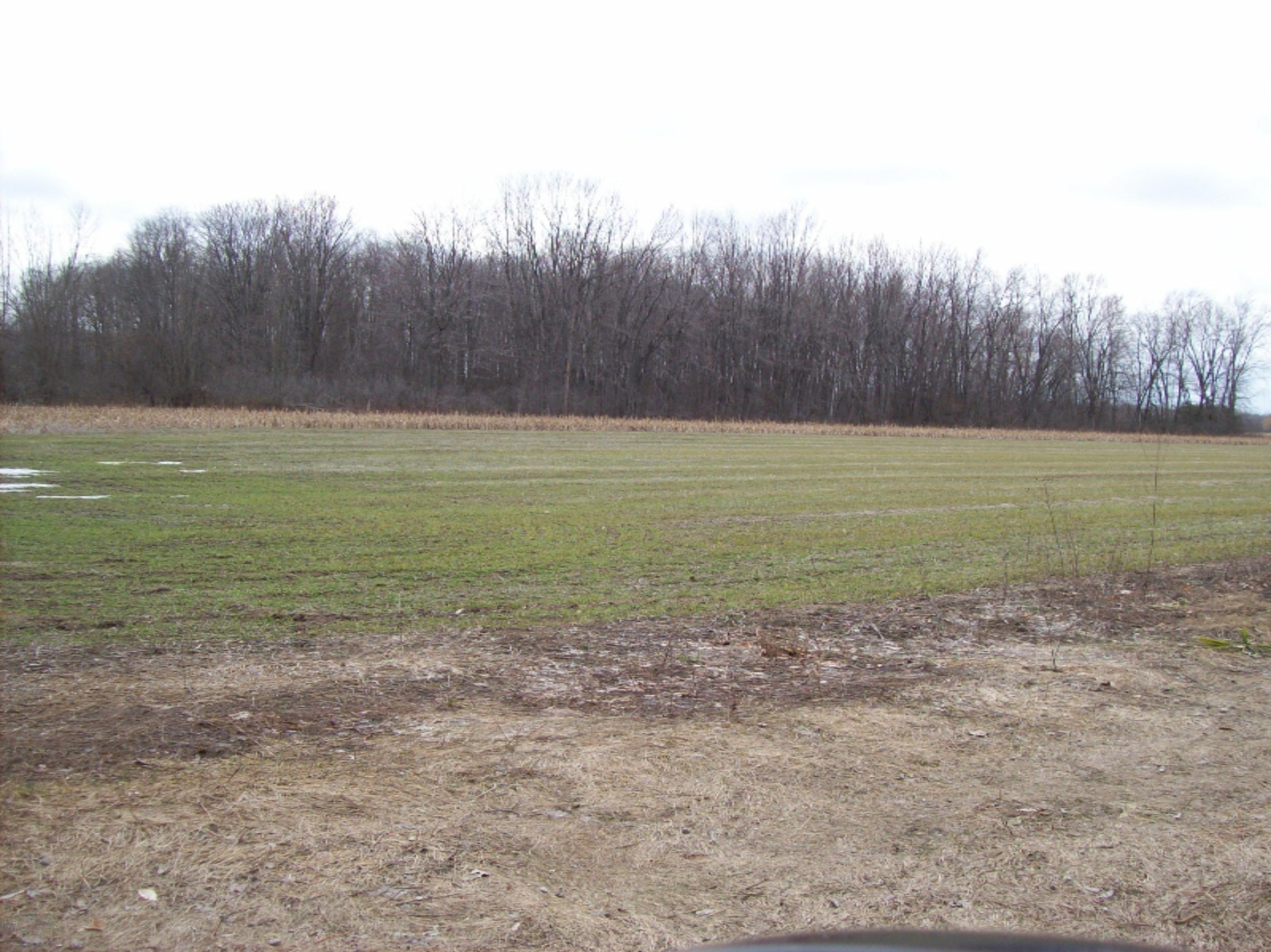 799 North Lumberjack Road Sumner, MI 48889 - Photo 7 of 8 100_3154