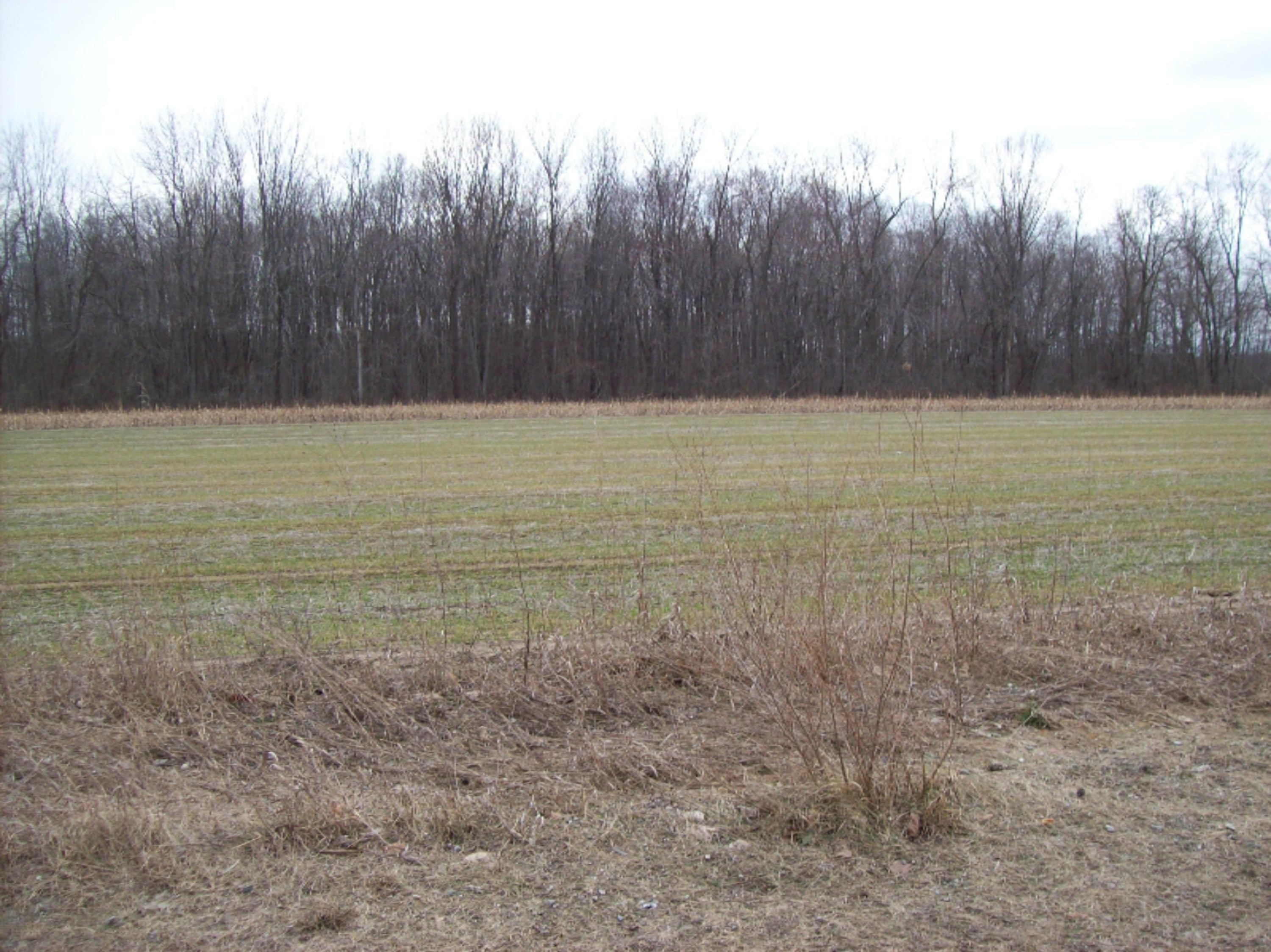 799 North Lumberjack Road Sumner, MI 48889 - Photo 8 of 8 100_3156