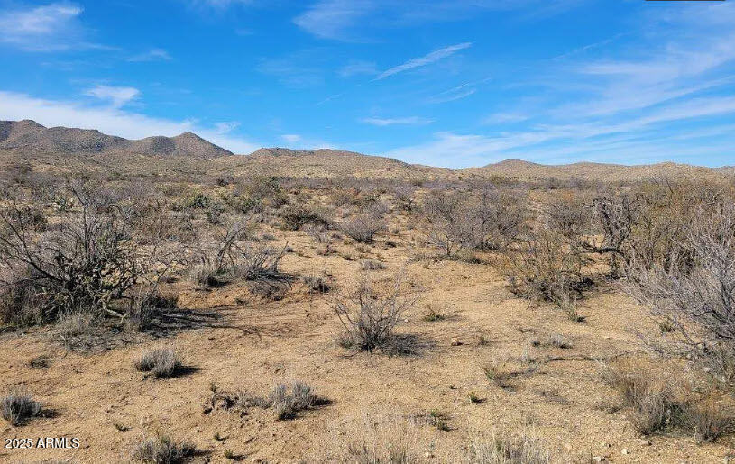 0 West Trezler Road Congress, AZ 85332 - Photo 4 of 9 Desert landscape
