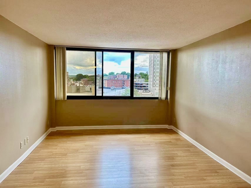 70 Southbridge Street, Unit 703 Worcester, MA 01608 - Photo 3 of 16