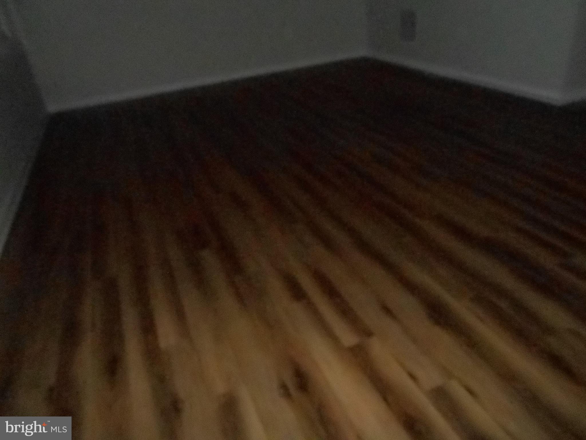 202 London Downs Circle Stephens City, VA 22655 - Photo 10 of 22 a close view of backyard